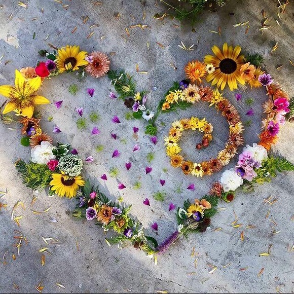 Meet your Posher, Betty - Picture 1 of 1